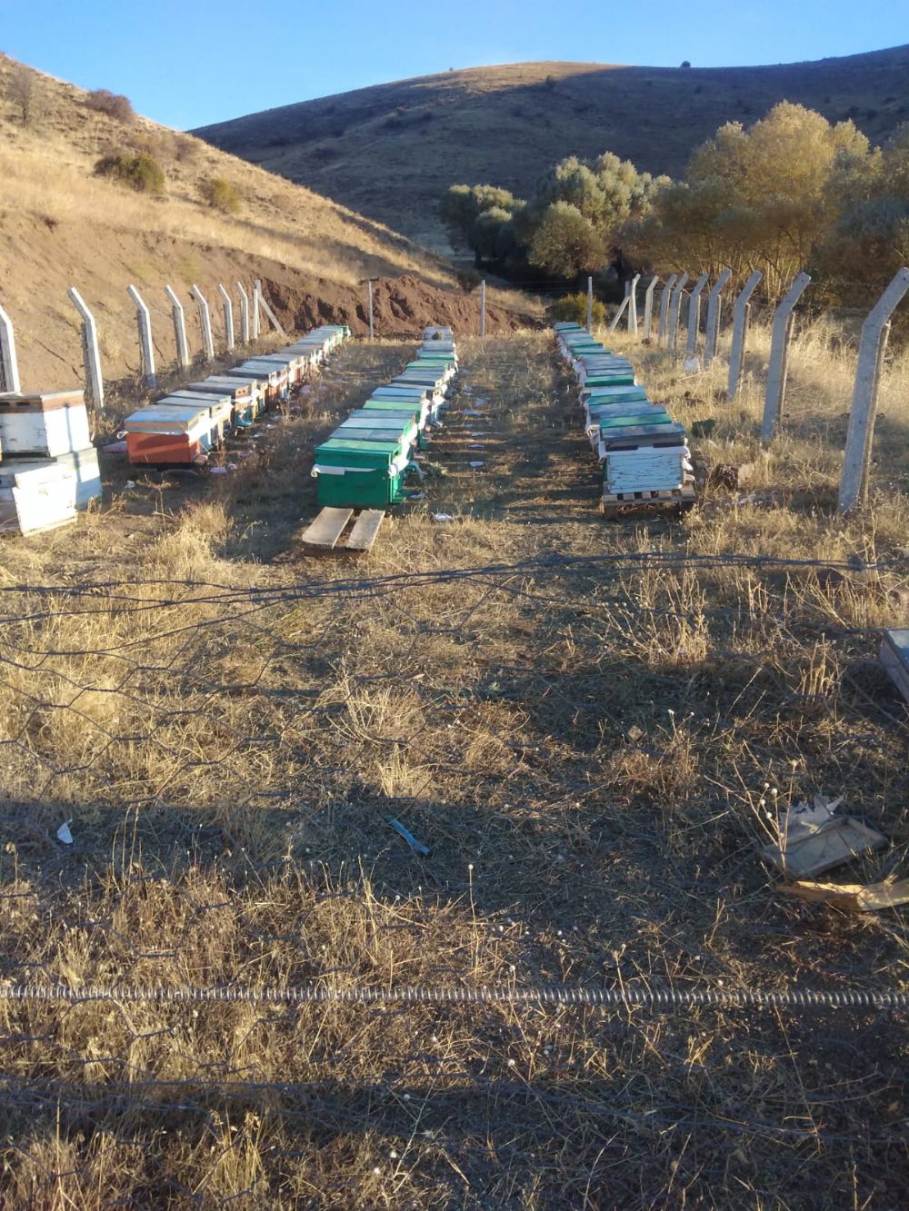 Do�al Ar� �r�nleri Sat���